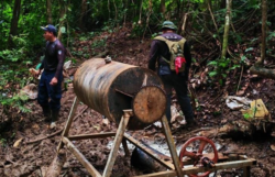 Fuerza Pública realizó operativo en Crucitas y desmanteló nueve campamentos ilegales