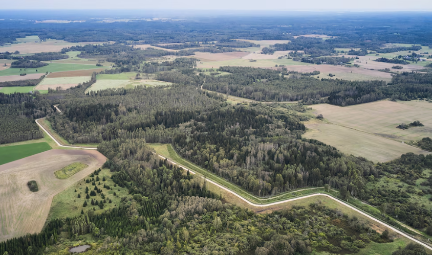 Estonia cerró una carretera que cruza territorio ruso tras detectar movimientos inusuales de las tropas de Putin