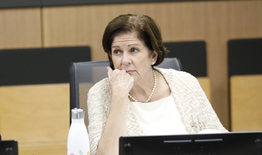 Pilar Cisneros asegura que si diputados votan ‘a conciencia’ no se tendrán votos para levantar inmunidad al Presidente