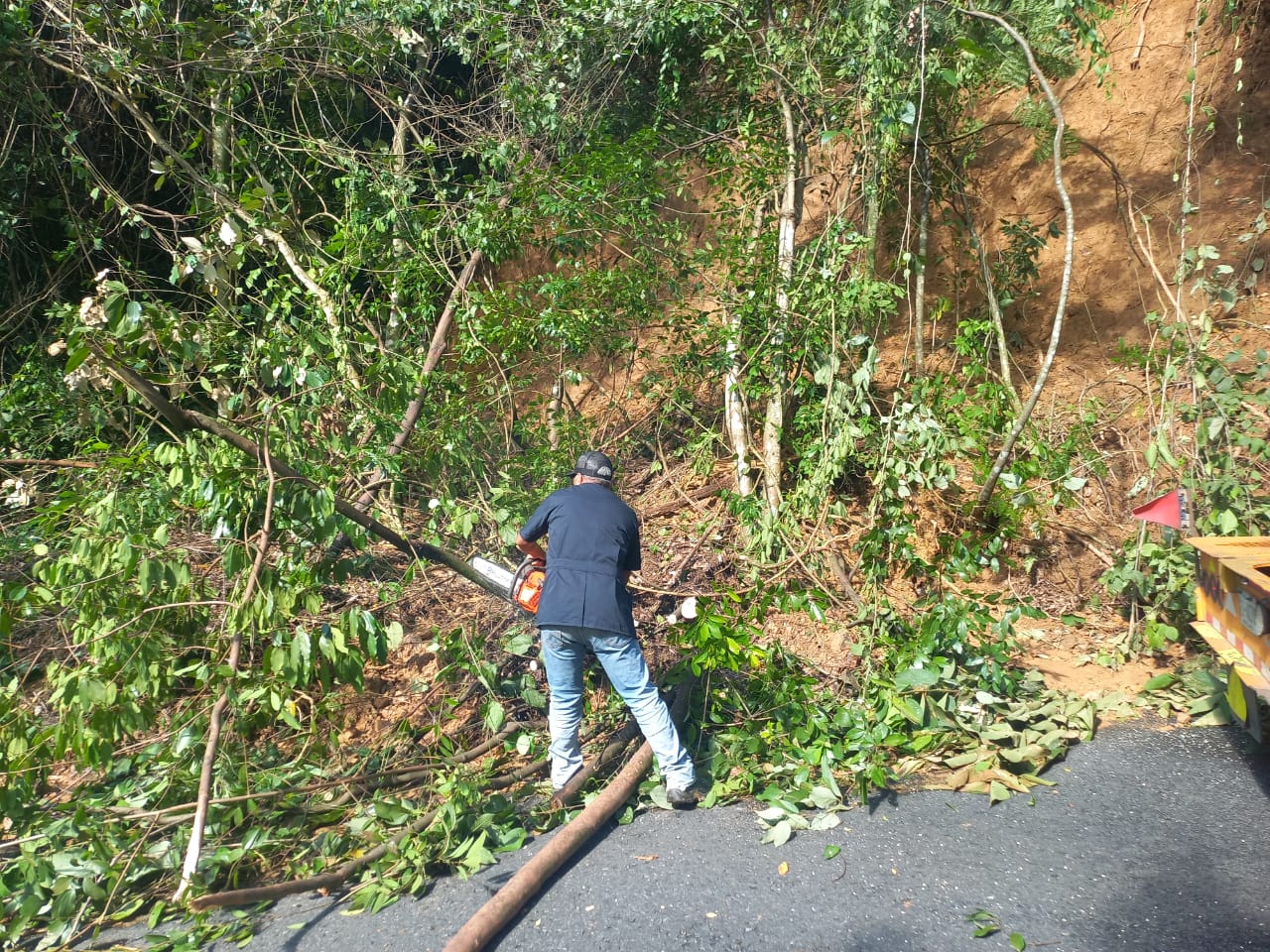 Lluvias provocaron afectaciones en cuatro rutas e inundaciones en el Pacífico y Valle Central