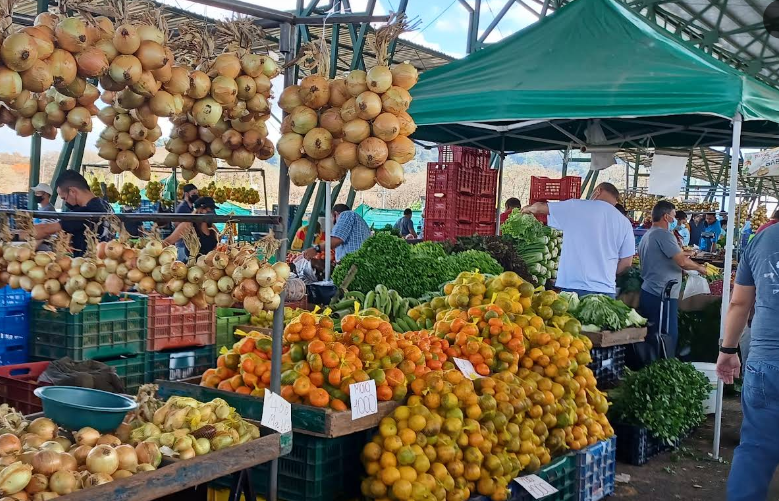 ¿Va para la feria? Chile dulce y repollo verde están más baratos este fin de semana