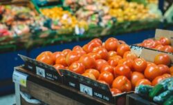 ¡Tome nota! Precio del tomate subió esta semana en las ferias