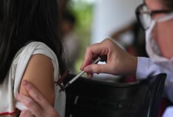 Brasil aprobó la aplicación de la vacuna contra el dengue en personas de entre 12 y 59 años