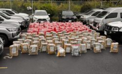 OIJ amplía investigaciones sobre organizaciones que buscarían ocupar territorios que deja “Cartel del Caribe Sur”