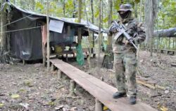 Zar antidroga de Bolivia asegura que “hay carteles internacionales” y confirmó vuelta de la DEA al país