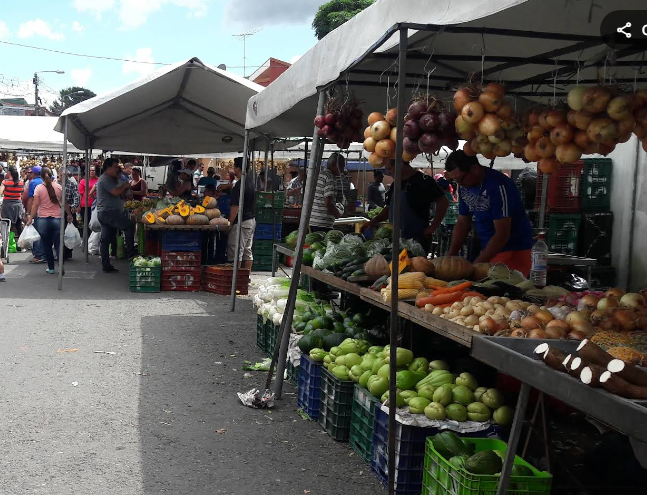 ¡Tome nota! Chile, piña y plátano están más caros en las Ferias del Agricultor