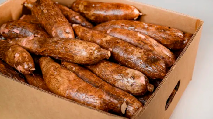 La yuca fue el producto que más aumentó de precio en el último año
