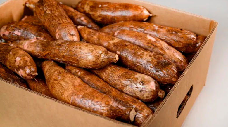 La yuca fue el producto que más aumentó de precio en el último año