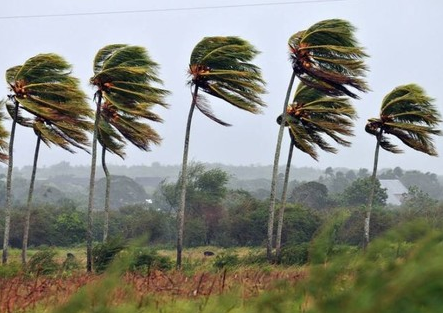 IMN registran ráfagas de viento de hasta 74 km/h: Velocidades aumentarán por Empuje Frío No. 4
