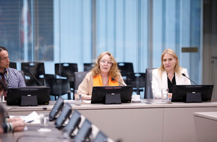 Representantes de la ONU urgieron a diputados aprobar Ley contra discursos de odio