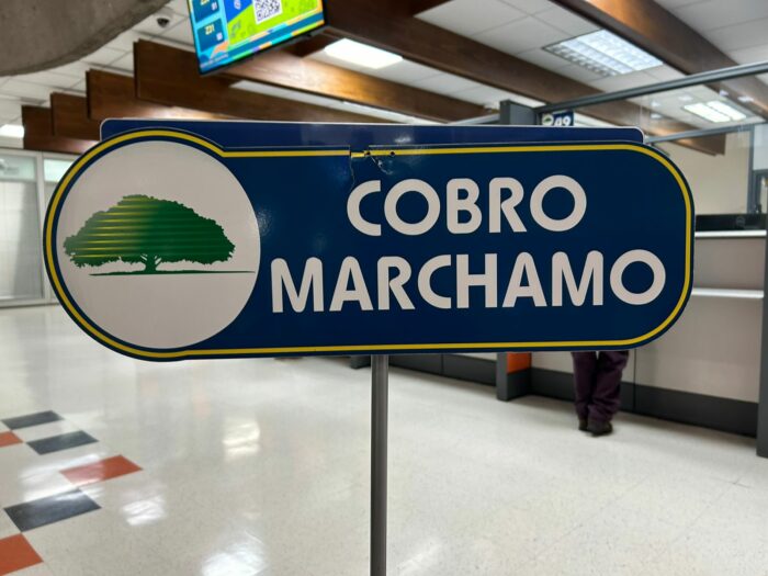 INS amplió capacidad de su página web ante alta demanda por consulta del marchamo