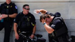 Una ola de calor histórica afectará a más de 100 millones de personas en EEUU en pleno noviembre