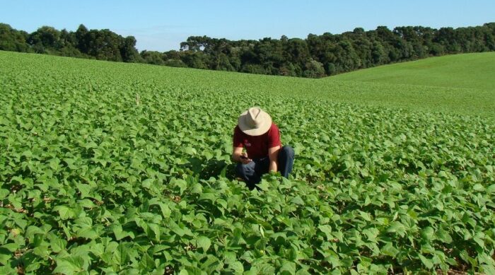 Comisión analiza créditos por $140 millones para apoyar a agricultores