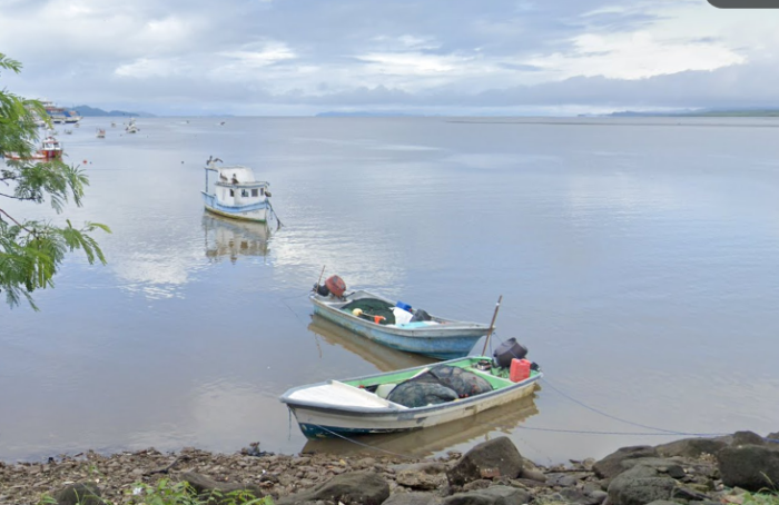 SENASA prohíbe extracción y venta de almejas y ostras por presencia de marea roja tóxica