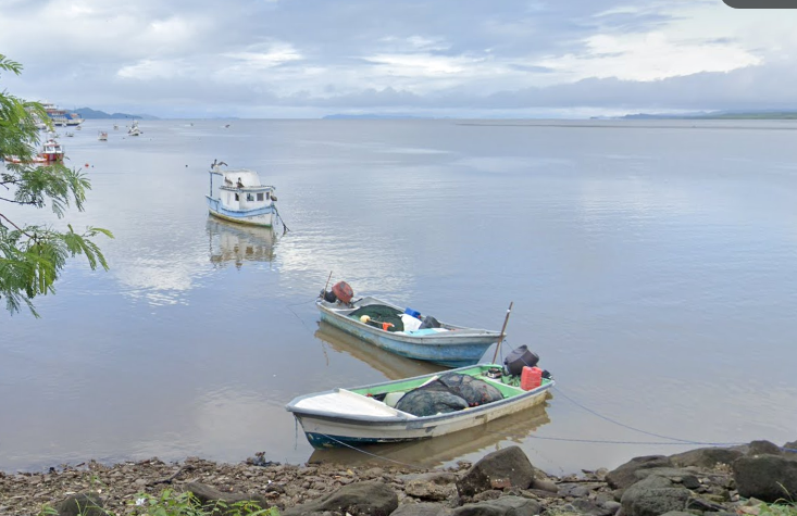SENASA prohíbe extracción y venta de almejas y ostras por presencia de marea roja tóxica