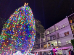 Hospital de Niños realizará la iluminación de su Árbol de Navidad este jueves