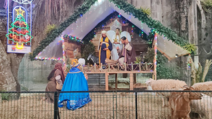 Tradicional Portal Vivo en las Ruinas de Cartago estará disponible a partir del 15 de diciembre