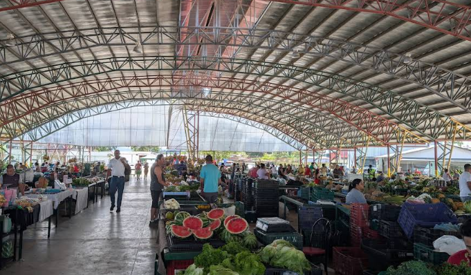 Tomate y papa lideran aumentos de precio en ferias del agricultor