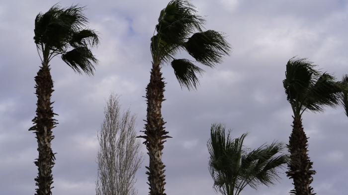 Vientos alisios acelerados marcan las condiciones del tiempo en varias regiones del país