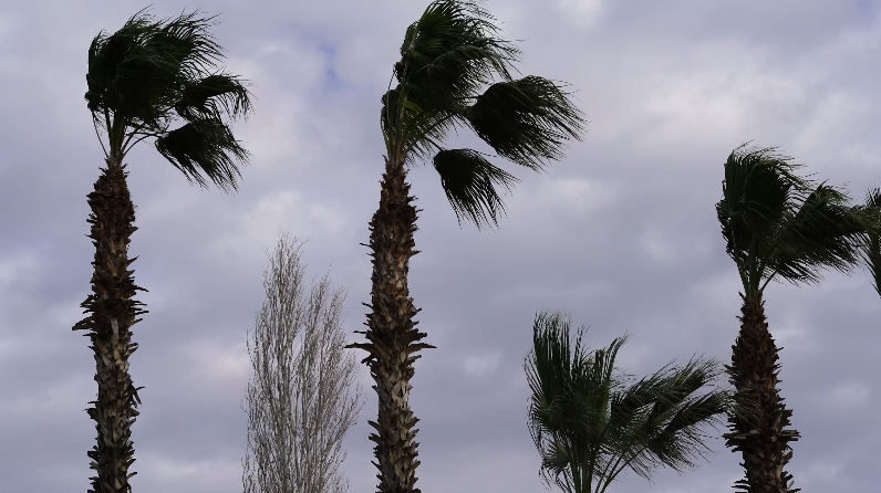 Vientos alisios acelerados marcan las condiciones del tiempo en varias regiones del país