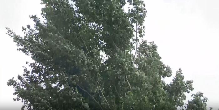 Rescatistas urgen medidas de prevención para evitar emergencias por fuertes vientos