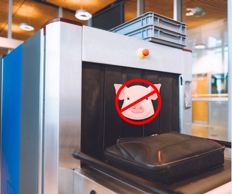 SENASA refuerza prohibición de ingreso de productos porcinos al país durante la época navideña