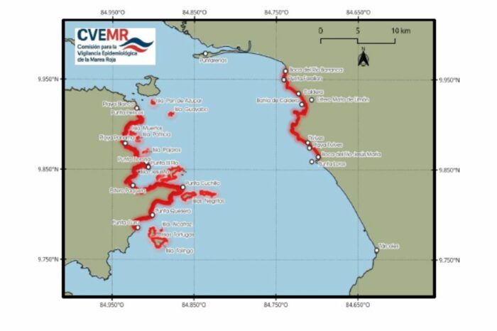 SENASA amplía prohibición de extracción y venta de moluscos por marea roja tóxica en Puntarenas