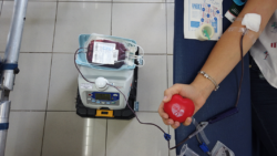 Hospital México urge donaciones ante reservas insuficientes de sangre