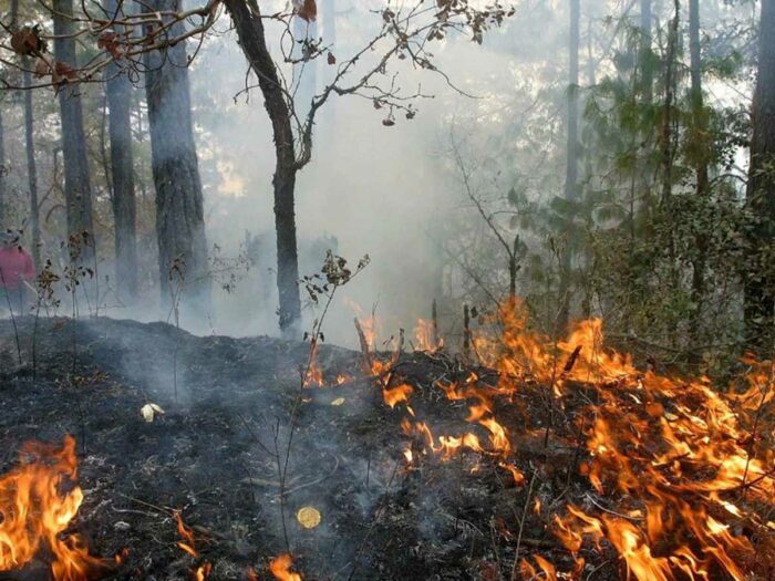 Inicia temporada de incendios forestales: Urgen evitar quemas de cualquier tipo