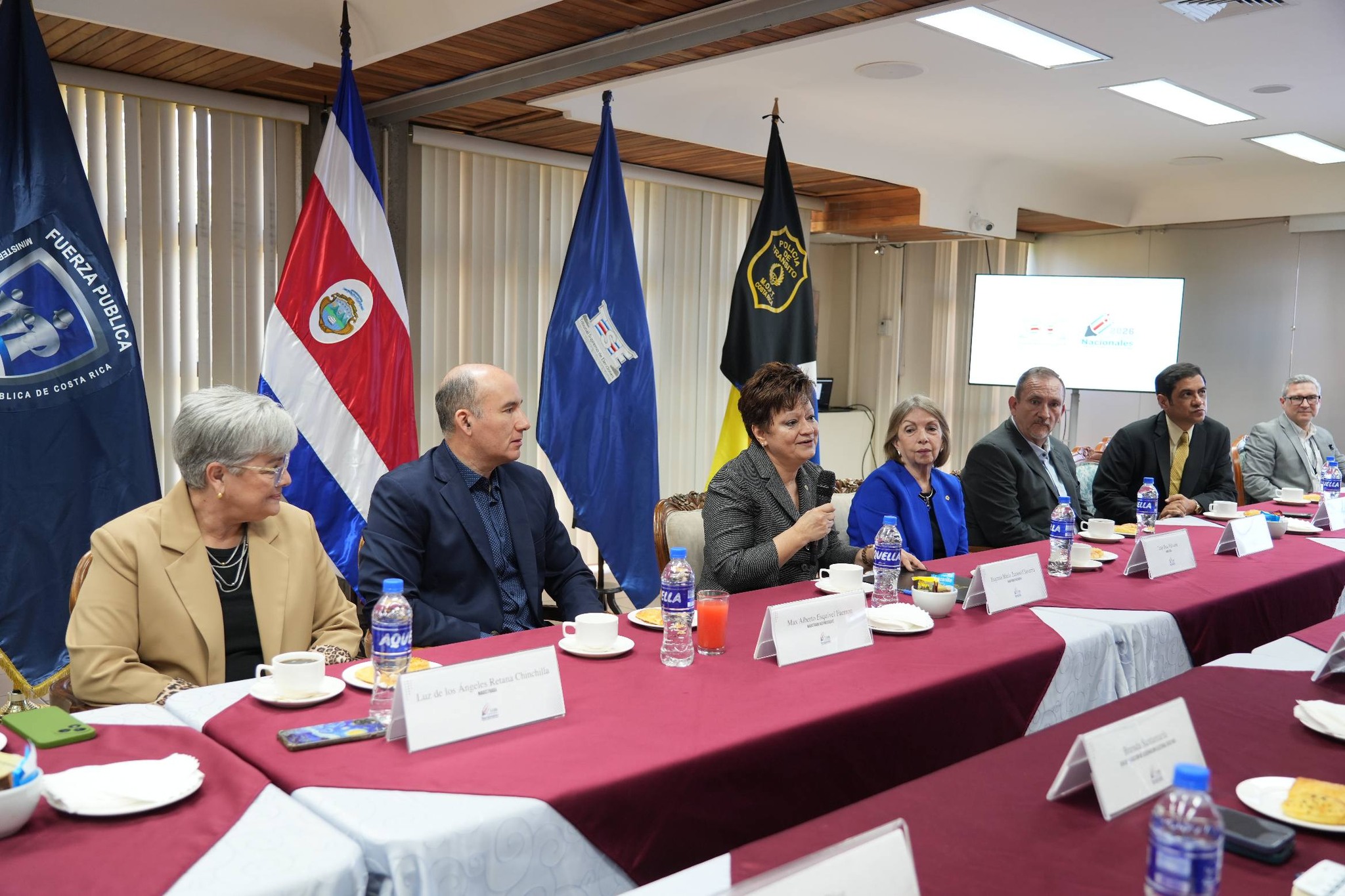 TSE afirma que Elección Nacional contará con mucha observación internacional