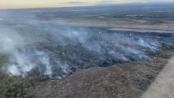 Bomberos combaten incendio forestal en Liberia y alertan por aumento de quemas en temporada seca