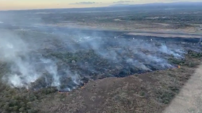 Bomberos combaten incendio forestal en Liberia y alertan por aumento de quemas en temporada seca