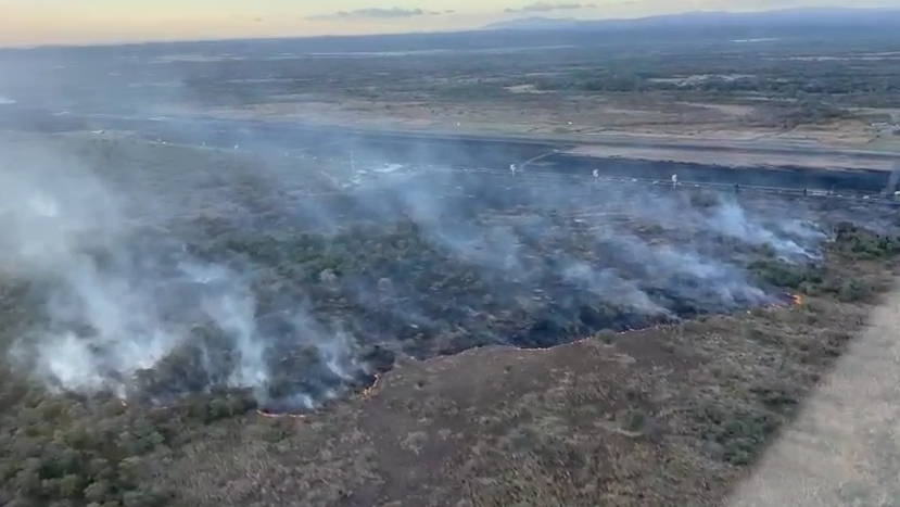 Bomberos combaten incendio forestal en Liberia y alertan por aumento de quemas en temporada seca