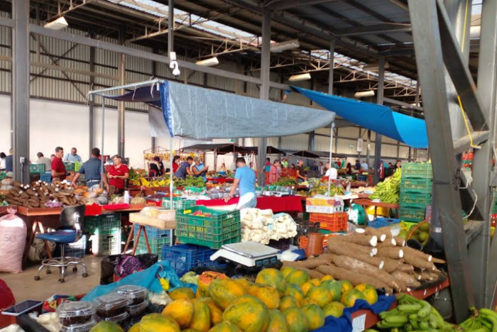 ¿Va para la feria del agricultor? Precio del tomate disminuyó 37% esta semana