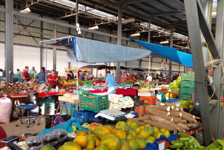 ¿Va para la feria del agricultor? Precio del tomate disminuyó 37% esta semana
