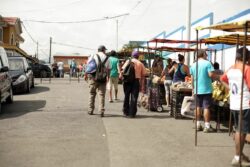 Ferias del agricultor registran disminuciones en precios de varias hortalizas durante la última semana