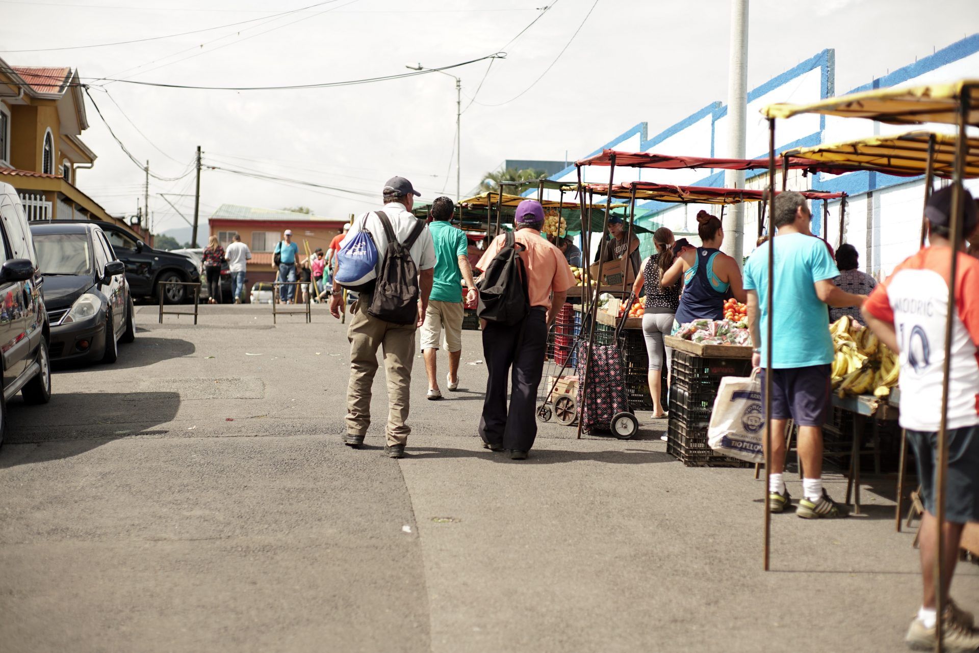 Ferias del agricultor registran disminuciones en precios de varias hortalizas durante la última semana