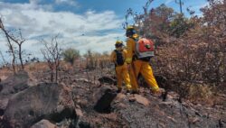 Cuerpo de Bomberos analiza posible primera víctima mortal de incendio este año
