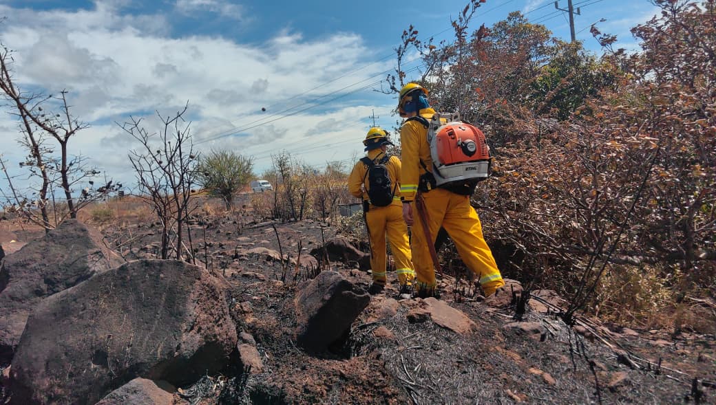 Cuerpo de Bomberos analiza posible primera víctima mortal de incendio este año