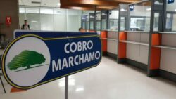 INS envió diseños a empresa para avanzar con proceso de compra de etiquetas para Marchamo Digital