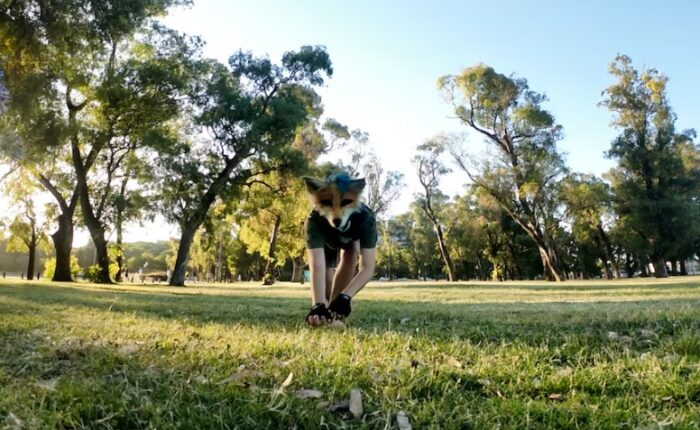 ¿Atender ‘therians’ en veterinarias? Colegio advierte que sería un ejercicio ilegal de la medicina para animales
