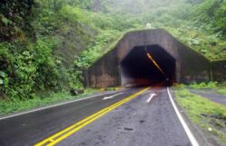 Ruta 32 presenta hasta 3 puntos con caída de material como árboles, tierra y rocas