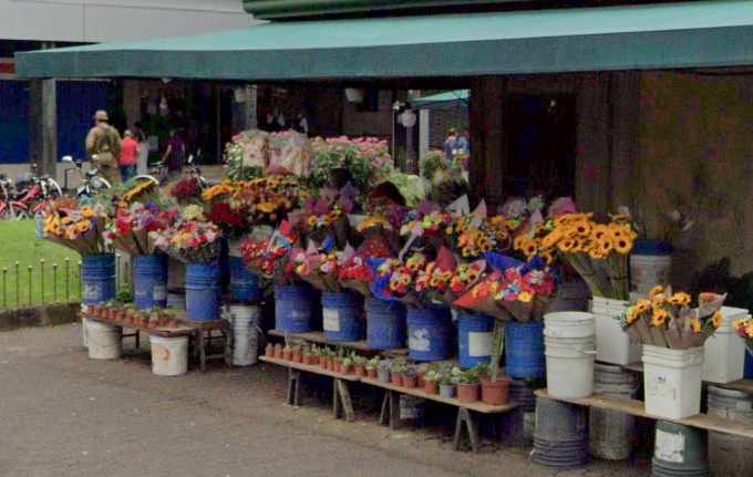 Floricultores prevén incremento en la demanda esta semana por Día del Amor y la Amistad