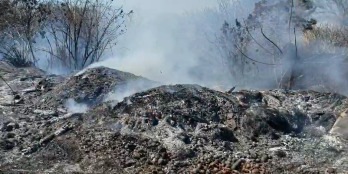 SINAC atiende 20 incendios forestales y reporta 478 hectáreas afectadas