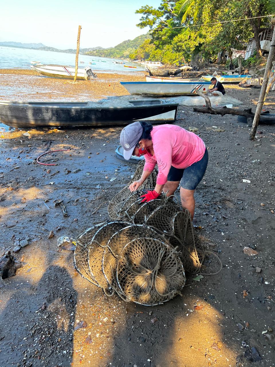 Se levanta restricción para extraer y comercializar moluscos en Pacífico Central