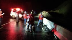 Cruz Roja mantiene búsqueda ante llamada de alarma por deslizamiento sobre Ruta 32 en Siquirres