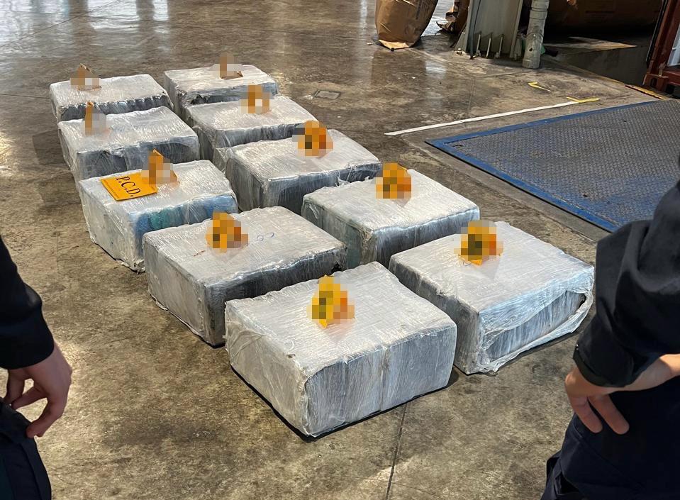 Autoridades decomisan 643 paquetes de cocaína en contenedor con destino a España