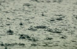 IMN: Golfito y Alajuela registraron récords de lluvia en enero