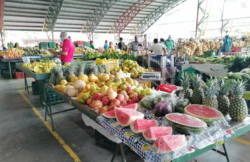 Tomate y chile dulce presentan incrementos de hasta 28% en ferias del agricultor