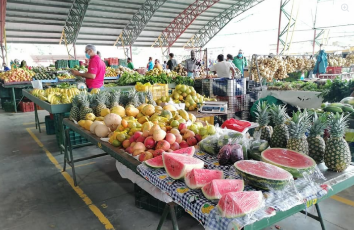 ¿Va para la feria del agricultor? Precio del tomate aumentó más de 37% en una semana
